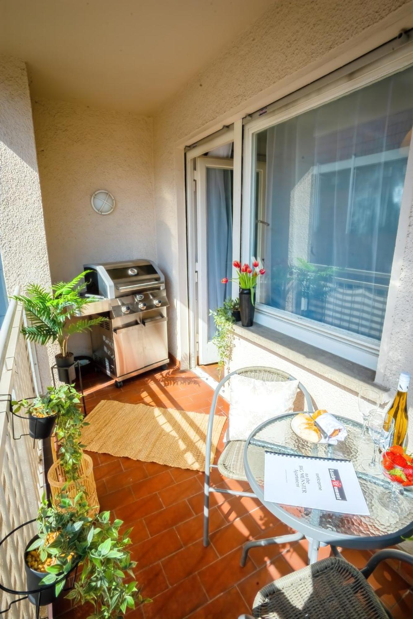 The Big Muenster Fuer Bis Zu 12, Whirlpool, Sauna, Zentral, Tischfussball, Balkon, Gasgrill Ulm Ngoại thất bức ảnh
